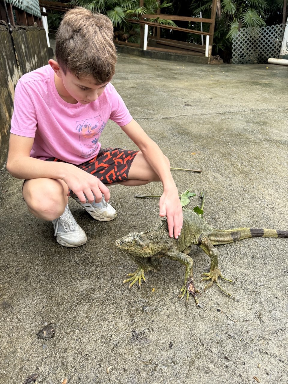 Petting an old iguana at Arch's in Roatan