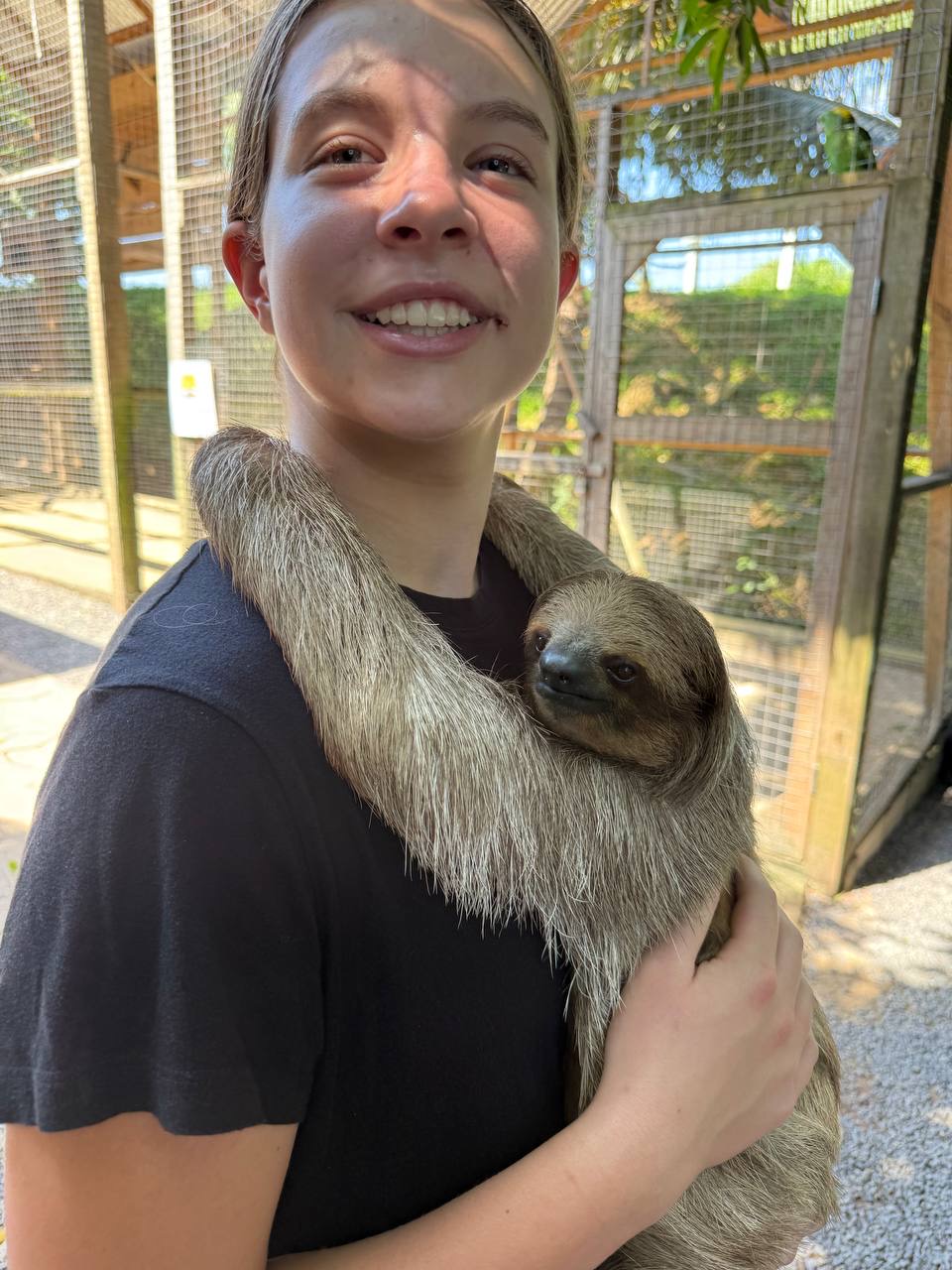 Sloth hug at Bodden Tours