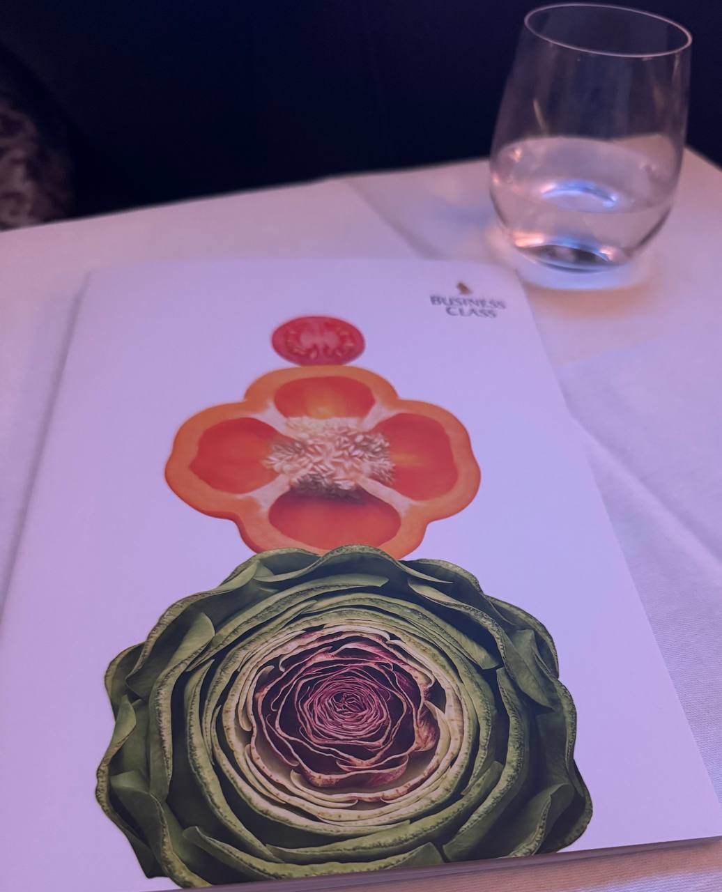 Singapore Airlines business class menu booklet