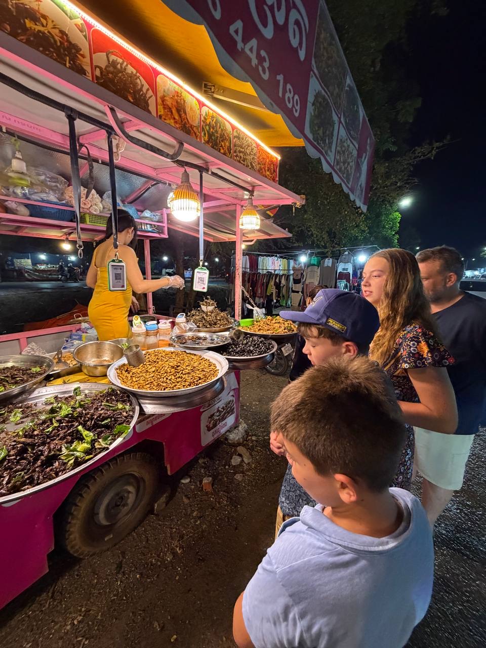 The insect vendor stall at the night market